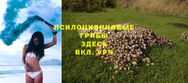 a pvp Алзамай