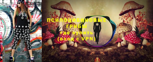 герыч Алексин